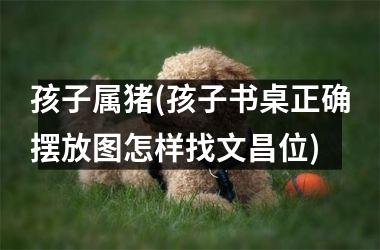 孩子属猪(孩子书桌正确摆放图怎样找文昌位)