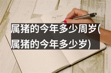 属猪的今年多少周岁(属猪的今年多少岁)