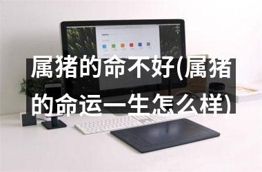 属猪的命不好(属猪的命运一生怎么样)