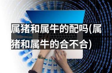 属猪和属牛的配吗(属猪和属牛的合不合)