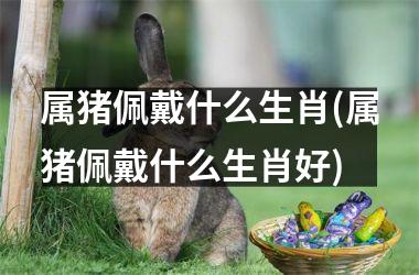 属猪佩戴什么生肖(属猪佩戴什么生肖好)