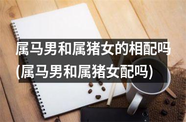 属马男和属猪女的相配吗(属马男和属猪女配吗)