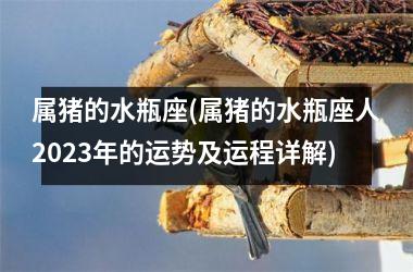 <h3>属猪的水瓶座(属猪的水瓶座人2025年的运势及运程详解)