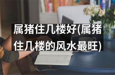 属猪住几楼好(属猪住几楼的风水旺)