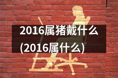 2016属猪戴什么(2016属什么)