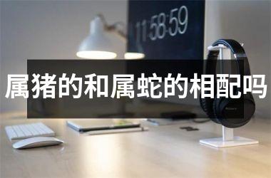 属猪的和属蛇的相配吗