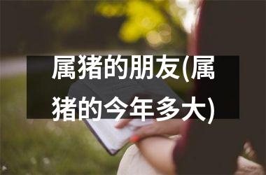 属猪的朋友(属猪的今年多大)