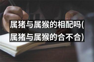 属猪与属猴的相配吗(属猪与属猴的合不合)