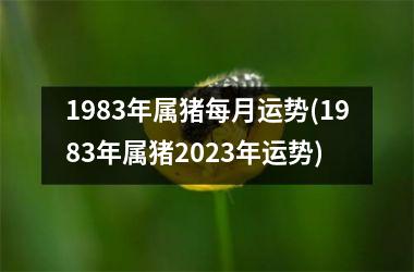1983年属猪每月运势(1983年属猪2025年运势)