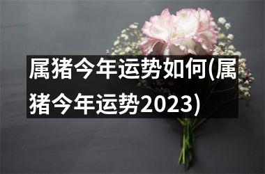 <h3>属猪今年运势如何(属猪今年运势2025)