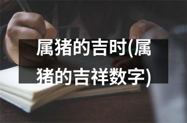 属猪的吉时(属猪的吉祥数字)