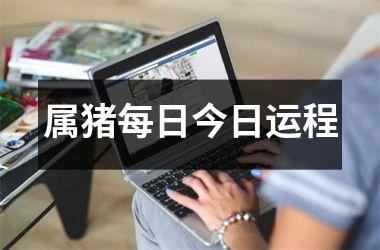 属猪每日今日运程