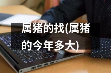 属猪的找(属猪的今年多大)