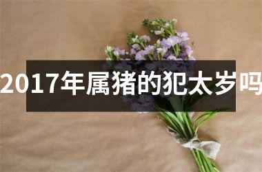 2017年属猪的犯太岁吗