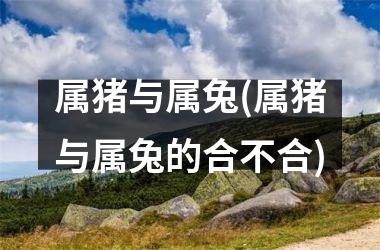 属猪与属兔(属猪与属兔的合不合)