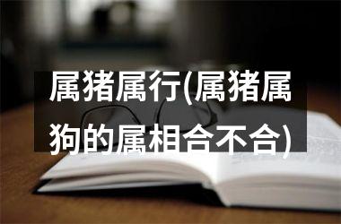 属猪属行(属猪属狗的属相合不合)