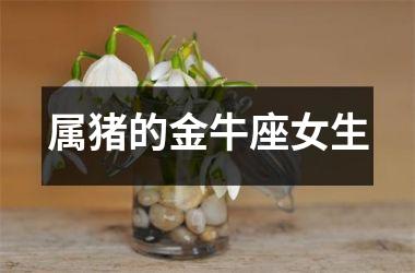 属猪的金牛座女生