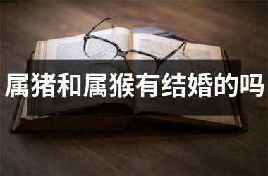 属猪和属猴有结婚的吗