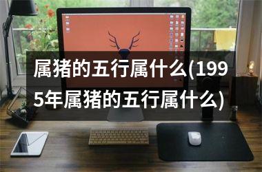<h3>属猪的五行属什么(1995年属猪的五行属什么)
