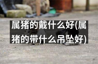 属猪的戴什么好(属猪的带什么吊坠好)