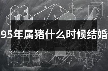 95年属猪什么时候结婚