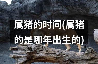 属猪的时间(属猪的是哪年出生的)