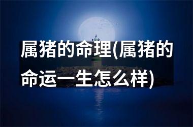属猪的命理(属猪的命运一生怎么样)