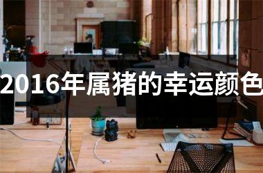2016年属猪的幸运颜色