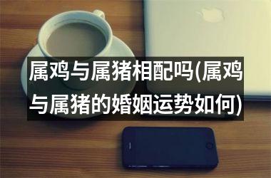 属鸡与属猪相配吗(属鸡与属猪的婚姻运势如何)