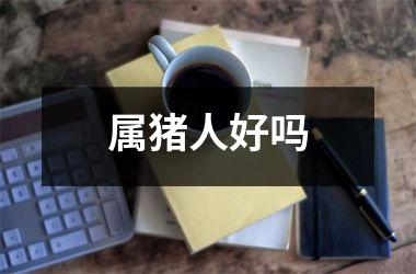 属猪人好吗