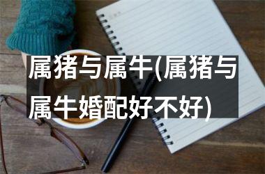 属猪与属牛(属猪与属牛婚配好不好)