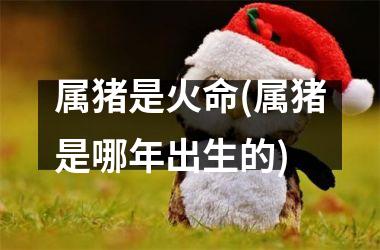属猪是火命(属猪是哪年出生的)