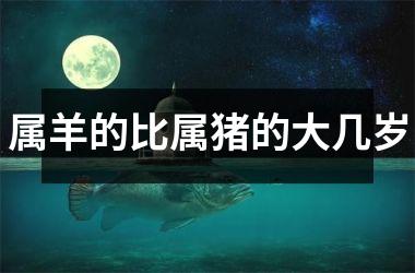 属羊的比属猪的大几岁