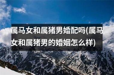 属马女和属猪男婚配吗(属马女和属猪男的婚姻怎么样)