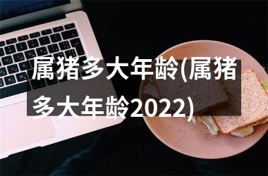 属猪多大年龄(属猪多大年龄2025)