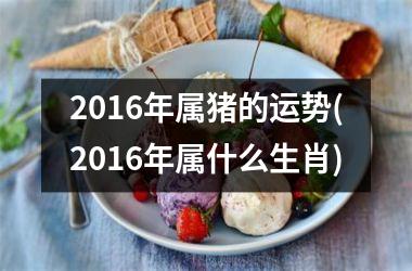 2016年属猪的运势(2016年属什么生肖)