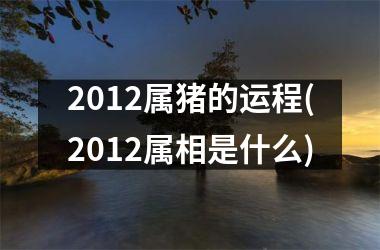 2012属猪的运程(2012属相是什么)