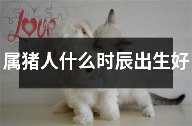 属猪人什么时辰出生好