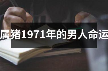 属猪1971年的男人命运