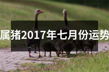 属猪2017年七月份运势