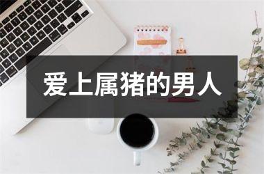 爱上属猪的男人