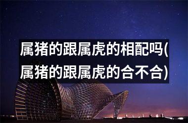 属猪的跟属虎的相配吗(属猪的跟属虎的合不合)