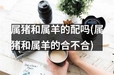 属猪和属羊的配吗(属猪和属羊的合不合)