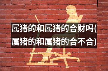 属猪的和属猪的合财吗(属猪的和属猪的合不合)