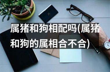 属猪和狗相配吗(属猪和狗的属相合不合)