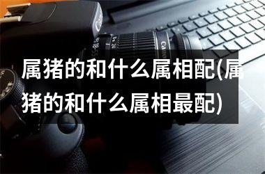 属猪的和什么属相配(属猪的和什么属相配)