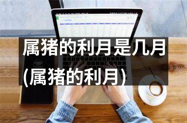 属猪的利月是几月(属猪的利月)