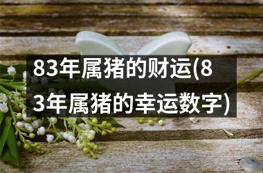 83年属猪的财运(83年属猪的幸运数字)
