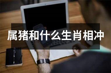 属猪和什么生肖相冲