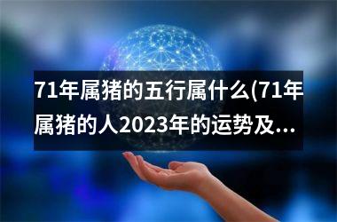 71年属猪的五行属什么(71年属猪的人2025年的运势及运程)